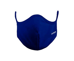 Free Georgia State Face Mask
