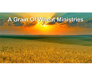 Free "A Grain Of Wheat Ministries" Book
