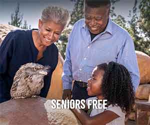 Free Seniors Entrees At San Diego Zoo Safari Park
