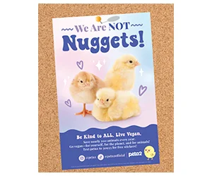 Free "We Are Not Nuggets" Poster