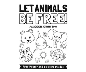 Free Circus Activity Book
