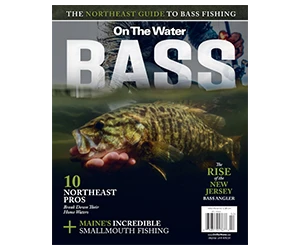 Free Copy of the BASS Special Edition Magazine
