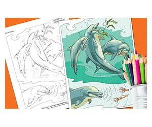 Free National Geographic Coloring Book: Animals
