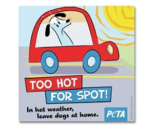 Claim Your Free 'Too Hot for Spot' Window Decal!
