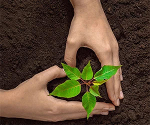 Get a FREE Seed Paper Heart and Support Wildlife!
