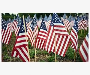 Free Bumper Sticker - Express Your Voice!
