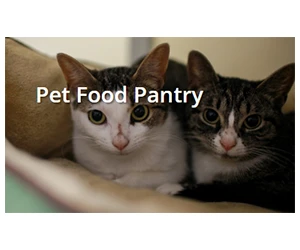 Free Pet Food Assistance – Get Support for Your Furry Friends!
