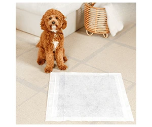 Free Hartz® Miracle Guard™ Dog Pads - Keep Your Home Protected!
