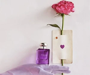 Free Jo Malone Beach Blossom Fragrance Sample - Social Media Exclusive!
