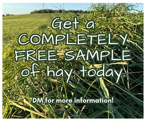 Free Hay Sample for Your Small Pet - From Farmer Dave Pet Supply!

