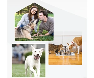 Free PetSafe® Product Testing Opportunity - Join the Panel Today!
