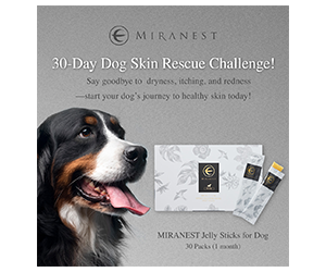 Free MIRANEST Jelly Sticks for Dogs – 30-Day Supply ($120 Value)
