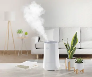 Win a FREE Clorox Ultra Clean Humidifier!
