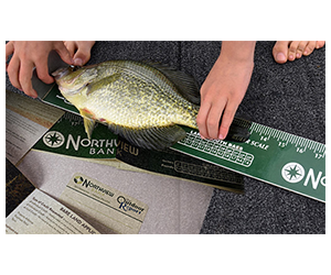 Free Fish Ruler or Game License Holder - Midwest Residents Only
