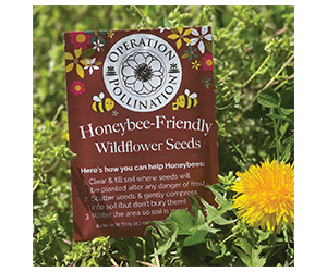 Free Wildflower Seed Packet - Help Support Pollinators
