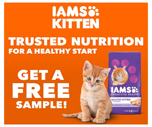 Free IAMS Kitten Food Sample Bag
