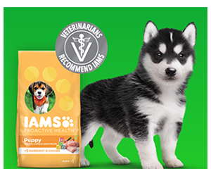 Free Sample of IAMS™ Puppy Dry Food
