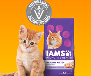Free IAMS™ Kitten Dry Food Sample!
