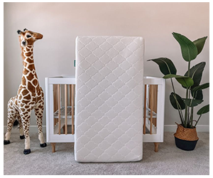 Win a Newton Crib Mattress!