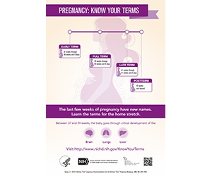 Free "Know Your Terms" Pregnancy Poster

