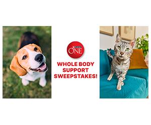 Win a Free Year of Purina ONE Pet Food