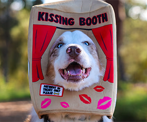 Free Puppy Playtime & Pet Treat Events at Petco