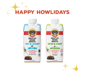 Free Brutus Bone Broth Party Pack - A Festive Yappy Hour for Your Pup!
