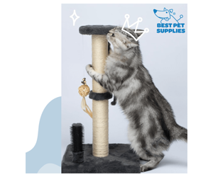 Free Catify Climb ’n’ Scratch Post - The Scratcher Cats Actually Love!