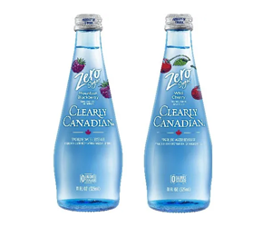 Buy 2, Get 1 Free Clearly Canadian Zero at Publix