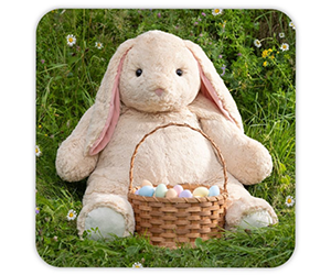 Win a Giant Cuddle Bunny