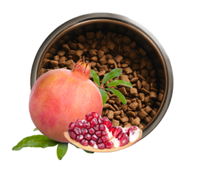 Free Small Kibble Dog Food Sample