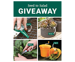 Win a $250+ Fresh Salad Garden Prize Bundle