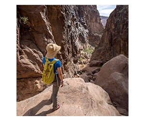 Free Entrance Days at U.S. National Parks in 2025 - Mark Your Calendar!