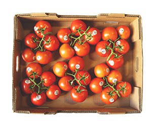 Free AMCO Freshest Products Samples
