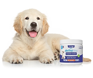 Free Allergy Care For Pets From Dermabliss
