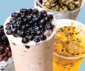 Free Standard Topping + Rewards - Kung Fu Tea App